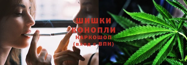 a pvp Бородино