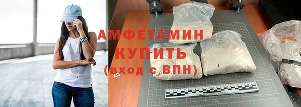 a pvp Бородино