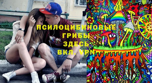 прущая мука Верея