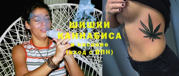 молекула духа Верхний Тагил