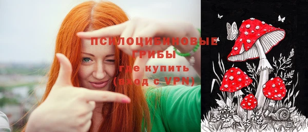прущая мука Верея