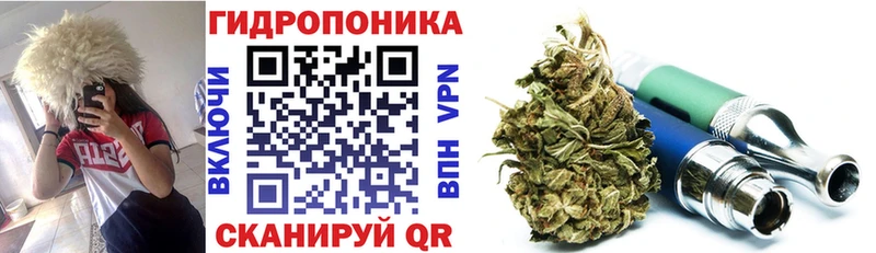 МАРИХУАНА OG Kush сайты даркнета официальный сайт Пестово hydra как войти